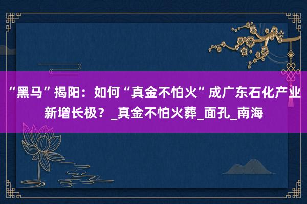 “黑马”揭阳：如何“真金不怕火”成广东石化产业新增长极？_真金不怕火葬_面孔_南海