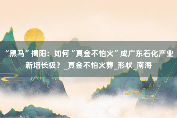 “黑马”揭阳：如何“真金不怕火”成广东石化产业新增长极？_真金不怕火葬_形状_南海