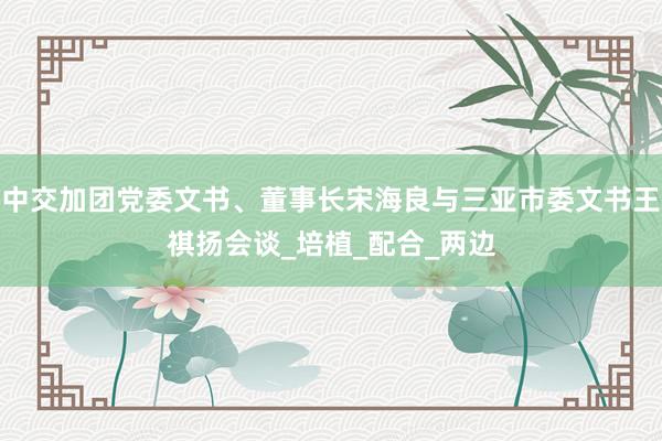 中交加团党委文书、董事长宋海良与三亚市委文书王祺扬会谈_培植_配合_两边