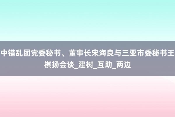 中错乱团党委秘书、董事长宋海良与三亚市委秘书王祺扬会谈_建树_互助_两边
