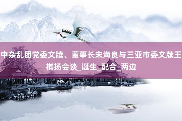 中杂乱团党委文牍、董事长宋海良与三亚市委文牍王祺扬会谈_诞生_配合_两边