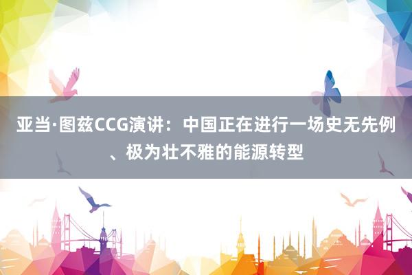 亚当·图兹CCG演讲：中国正在进行一场史无先例、极为壮不雅的能源转型
