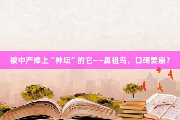 被中产捧上“神坛”的它——鼻祖鸟，口碑要崩？