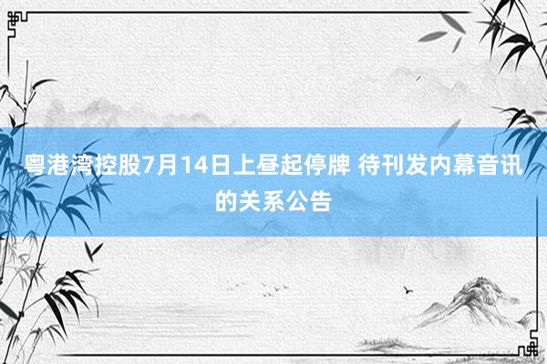 粤港湾控股7月14日上昼起停牌 待刊发内幕音讯的关系公告