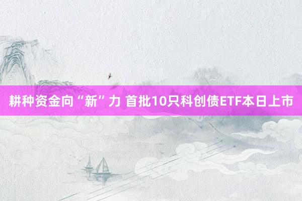 耕种资金向“新”力 首批10只科创债ETF本日上市
