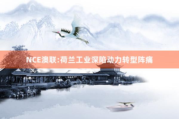 NCE澳联:荷兰工业深陷动力转型阵痛