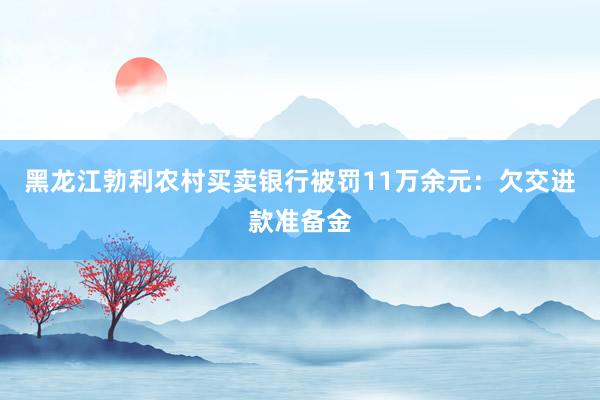 黑龙江勃利农村买卖银行被罚11万余元：欠交进款准备金