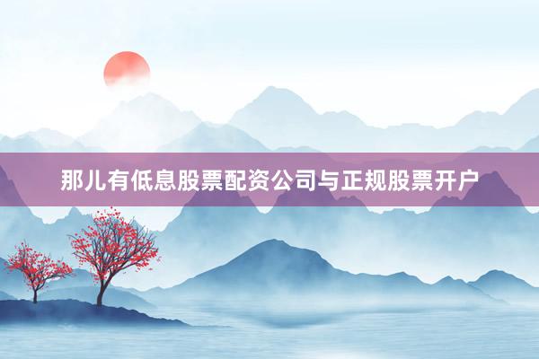那儿有低息股票配资公司与正规股票开户