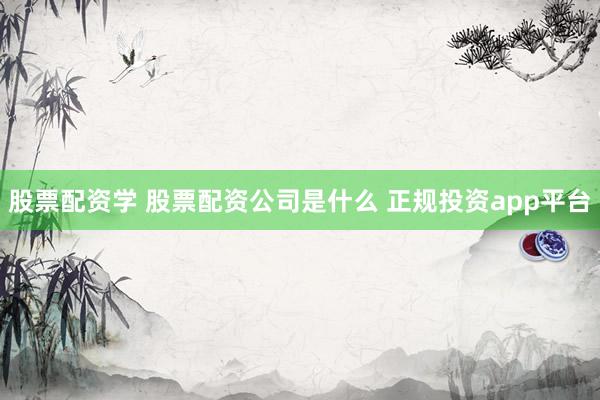 股票配资学 股票配资公司是什么 正规投资app平台