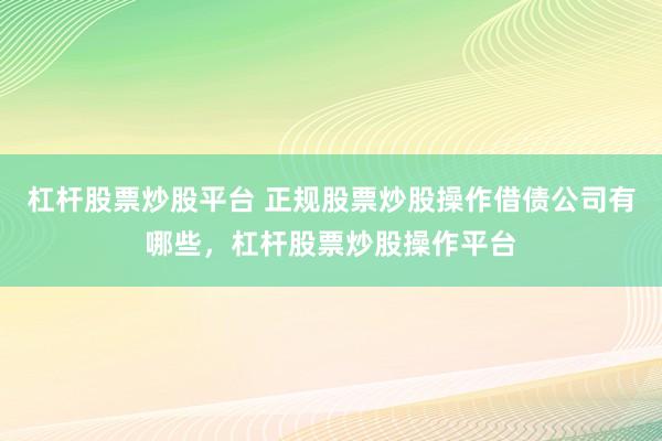 杠杆股票炒股平台 正规股票炒股操作借债公司有哪些，杠杆股票炒股操作平台