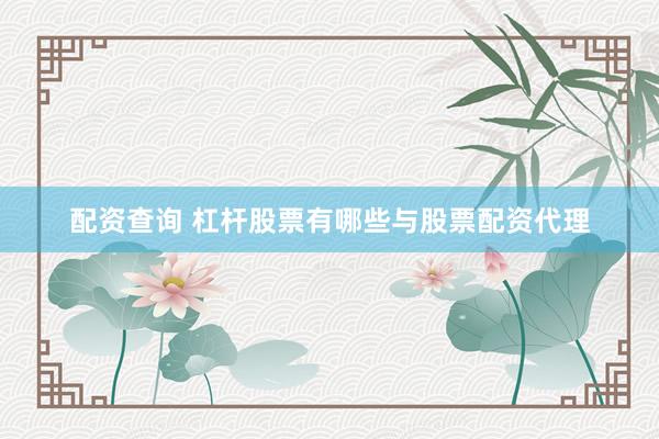 配资查询 杠杆股票有哪些与股票配资代理