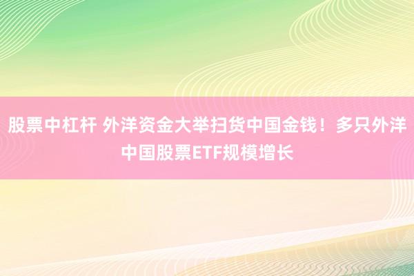 股票中杠杆 外洋资金大举扫货中国金钱！多只外洋中国股票ETF规模增长