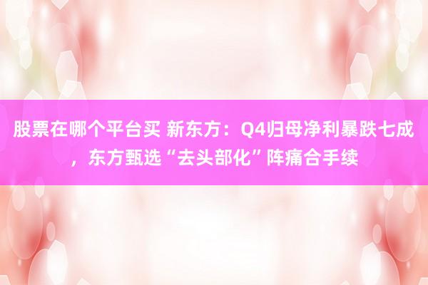 股票在哪个平台买 新东方：Q4归母净利暴跌七成，东方甄选“去头部化”阵痛合手续