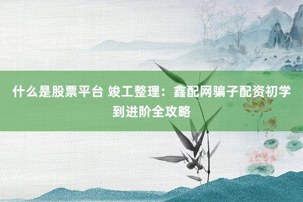 什么是股票平台 竣工整理：鑫配网骗子配资初学到进阶全攻略