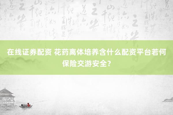 在线证券配资 花药离体培养含什么配资平台若何保险交游安全？