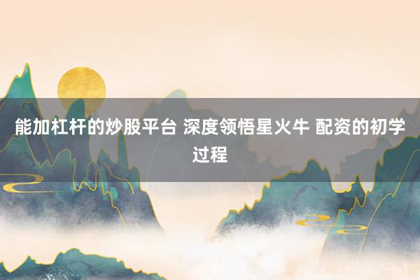 能加杠杆的炒股平台 深度领悟星火牛 配资的初学过程