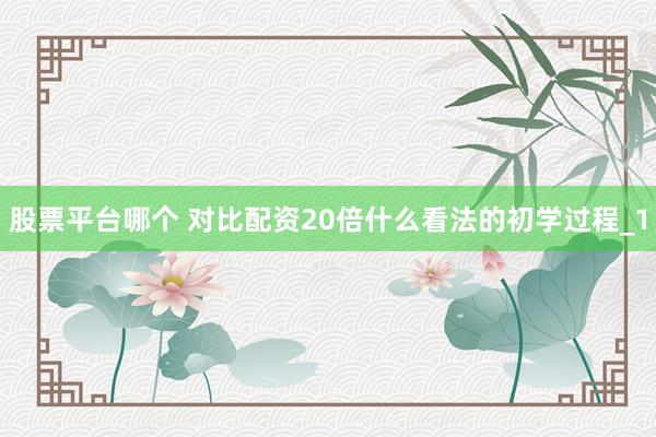 股票平台哪个 对比配资20倍什么看法的初学过程_1