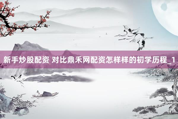 新手炒股配资 对比鼎禾网配资怎样样的初学历程_1