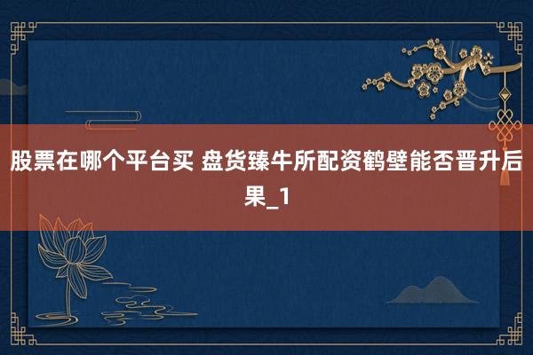 股票在哪个平台买 盘货臻牛所配资鹤壁能否晋升后果_1