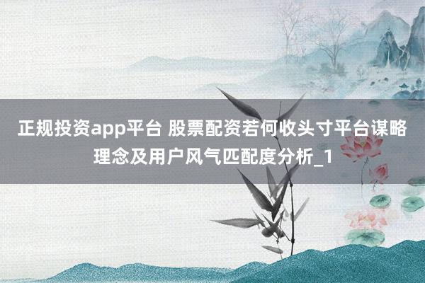 正规投资app平台 股票配资若何收头寸平台谋略理念及用户风气匹配度分析_1